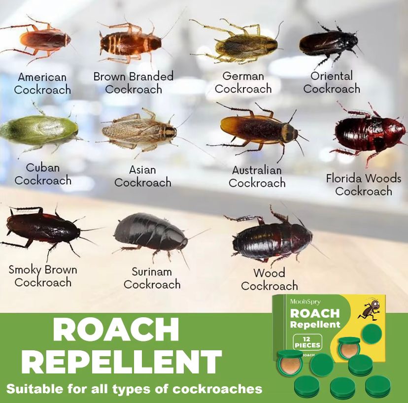 Cockroach Killer Gel | 🔥FLAT 50% OFF SAVING🔥